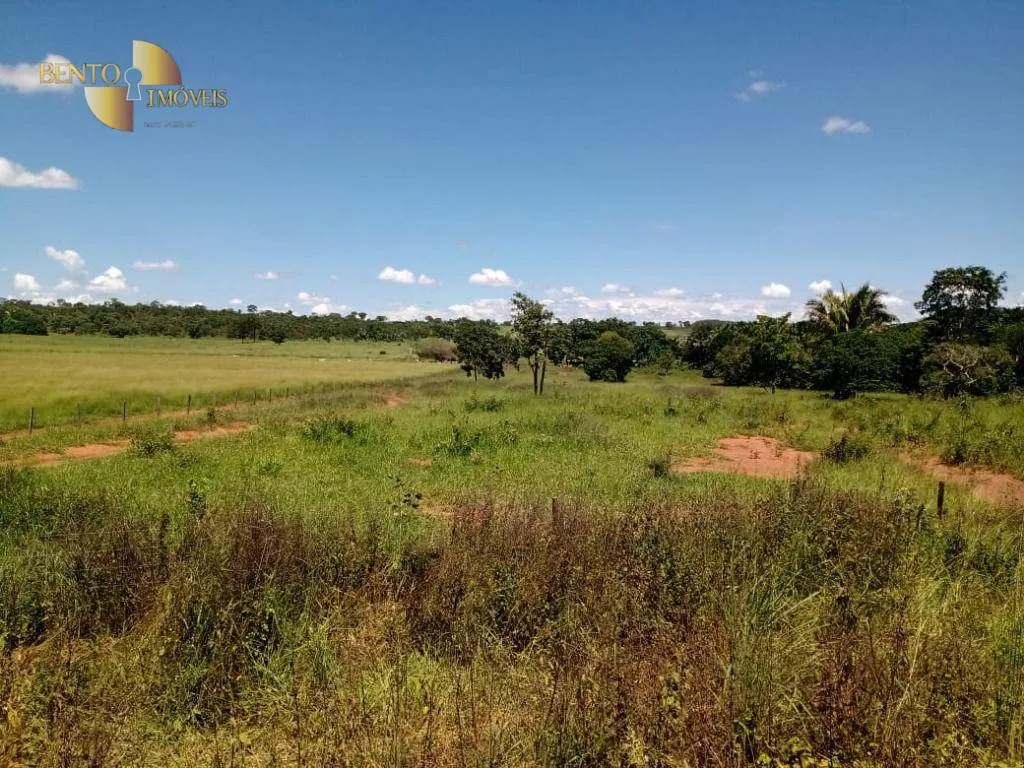 Fazenda à venda de 635 ha em Nova Xavantina, MT, Brasil