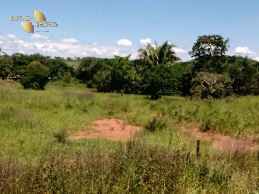 Fazenda à venda de 635 ha em Nova Xavantina, MT, Brasil