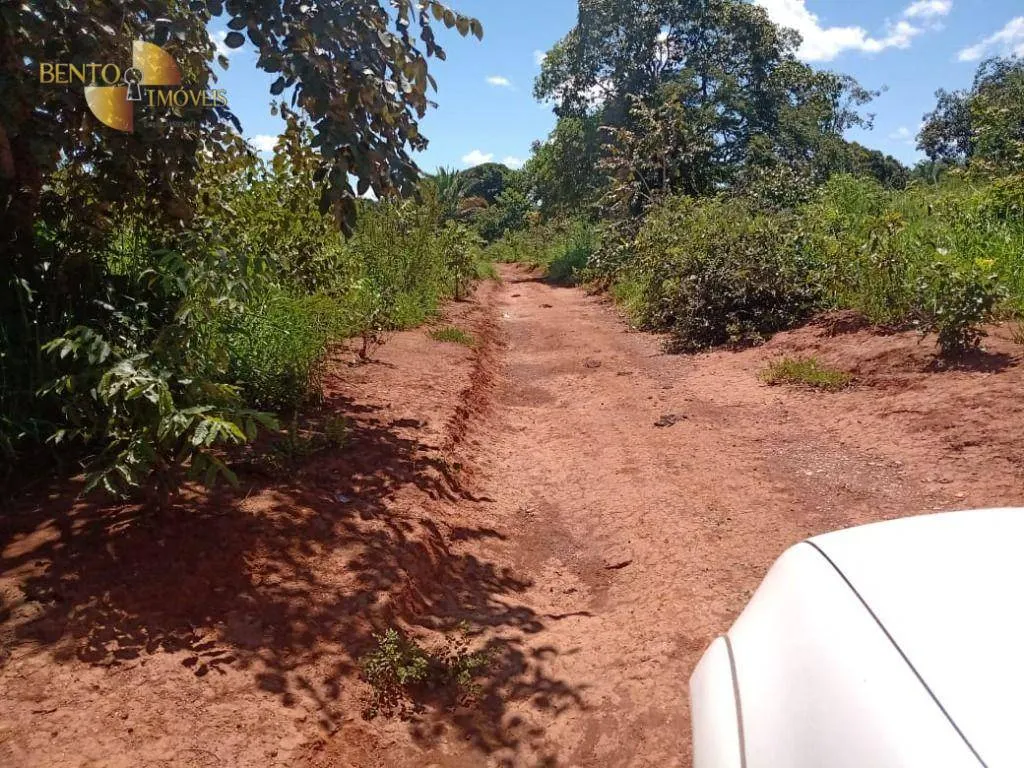 Fazenda à venda de 635 ha em Nova Xavantina, MT, Brasil
