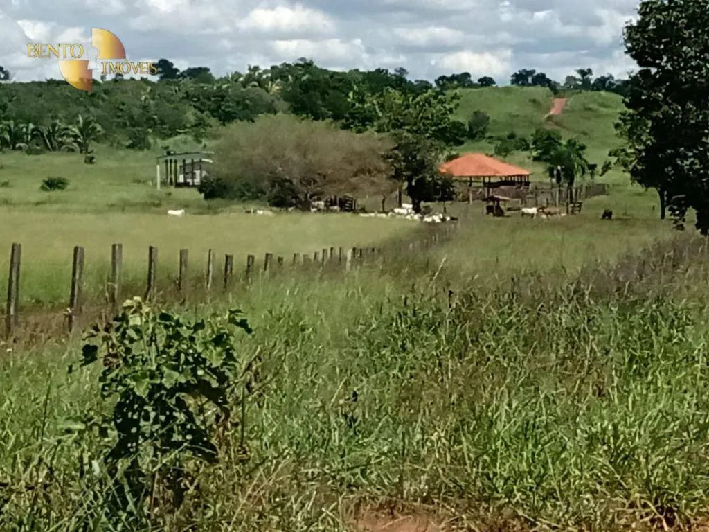 Fazenda à venda de 635 ha em Nova Xavantina, MT, Brasil