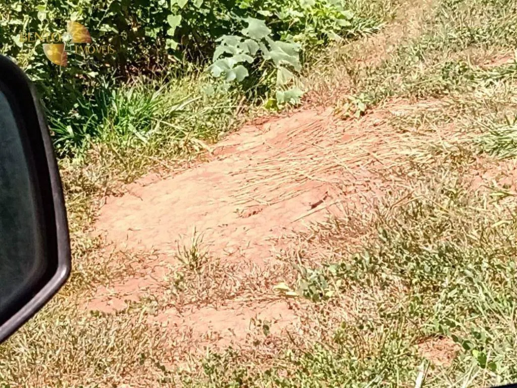 Fazenda à venda de 635 ha em Nova Xavantina, MT, Brasil