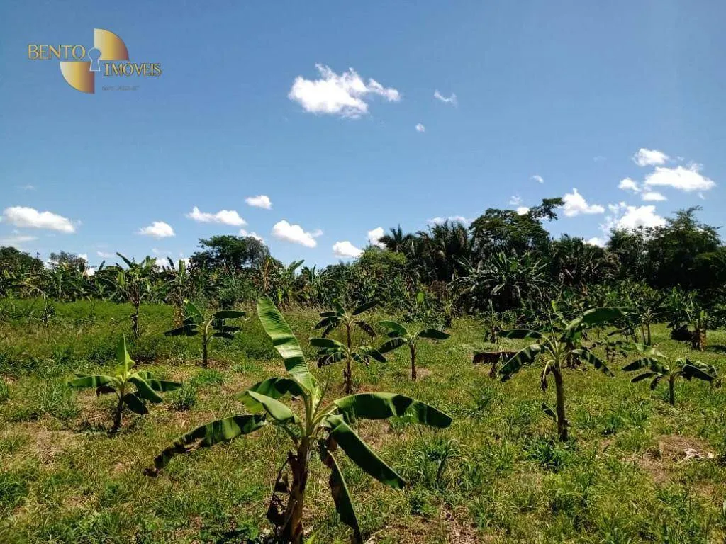 Fazenda à venda de 635 ha em Nova Xavantina, MT, Brasil