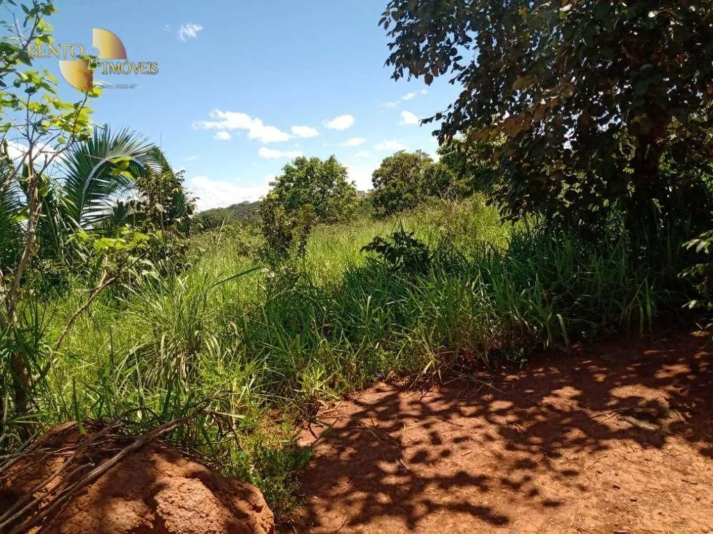 Fazenda à venda de 635 ha em Nova Xavantina, MT, Brasil