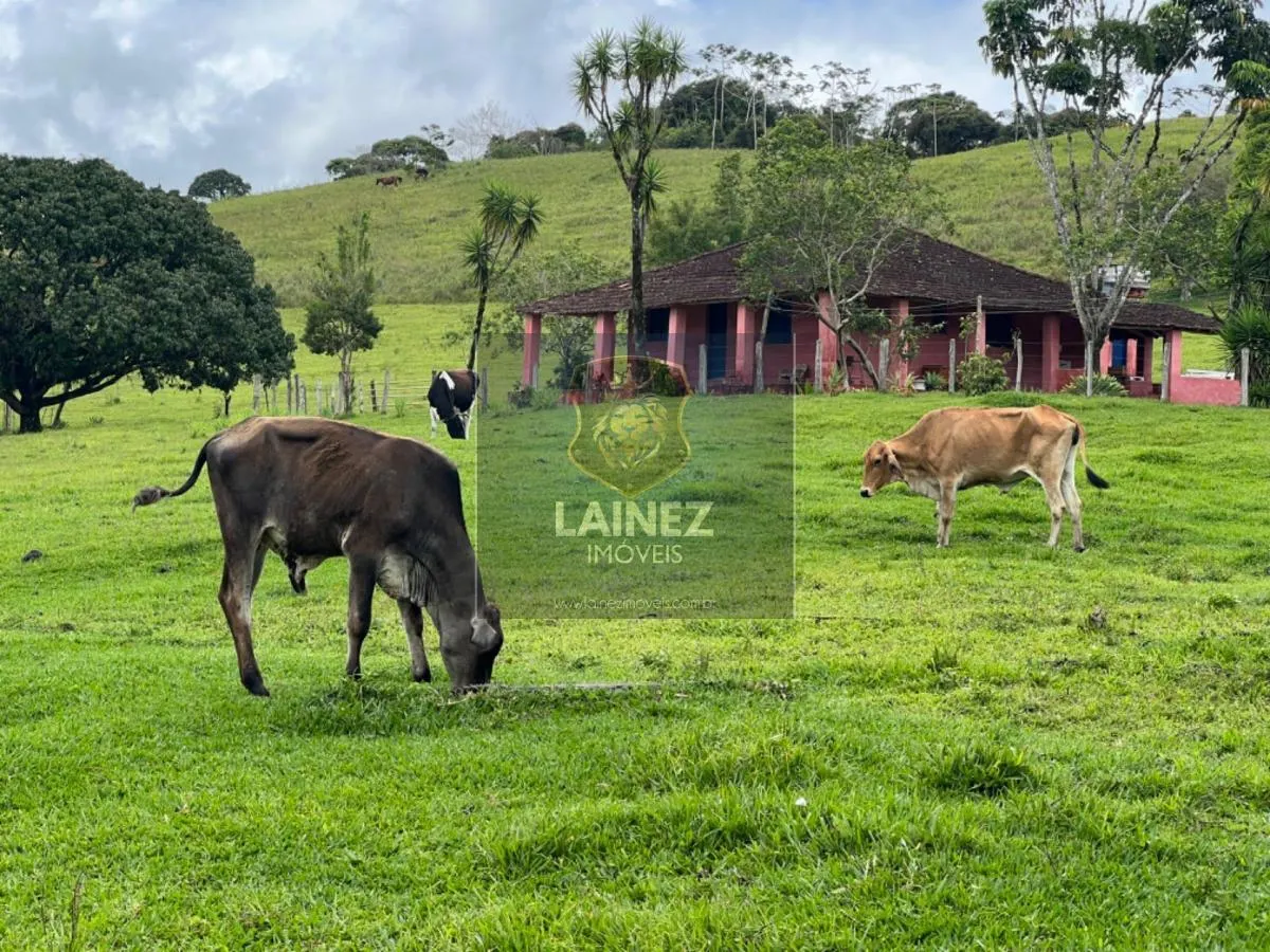 Fazenda à venda de 403 ha em Juquitiba, SP, Brasil