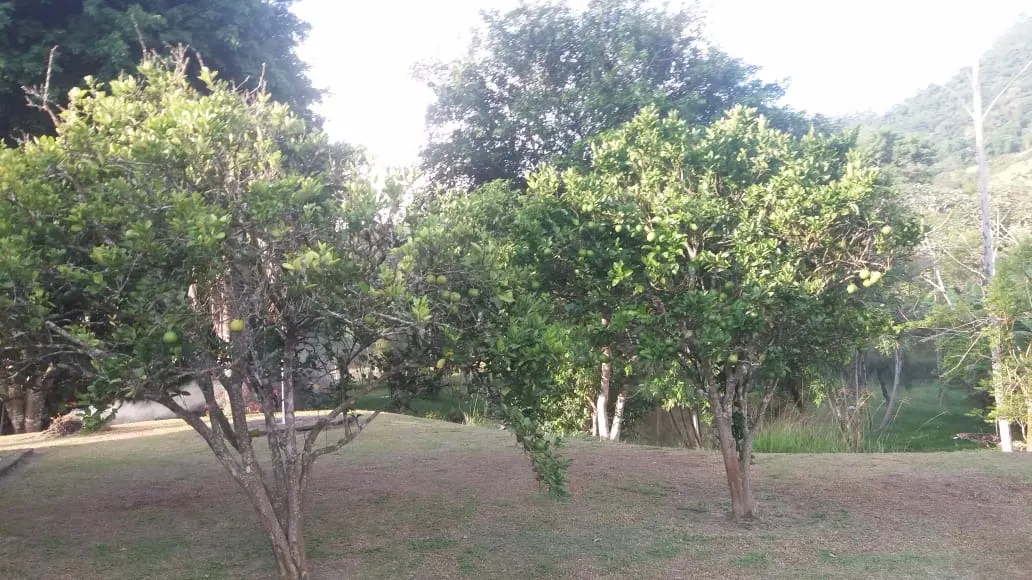 Chácara à venda de 7.234 m² em Monteiro Lobato, SP, Brasil