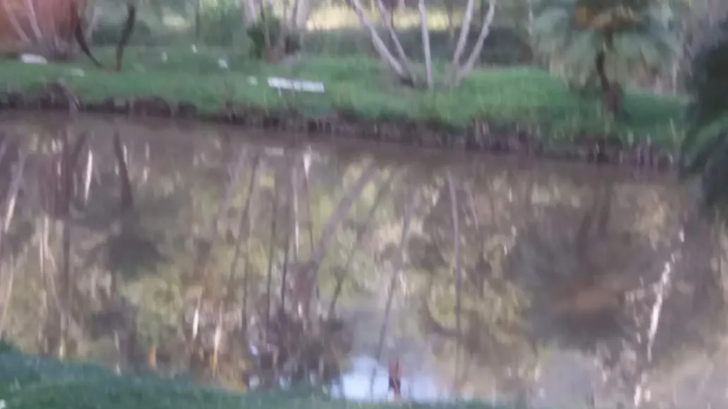 Chácara à venda de 7.234 m² em Monteiro Lobato, SP, Brasil