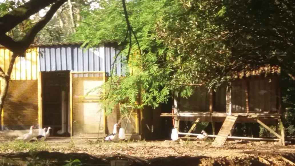 Chácara à venda de 7.234 m² em Monteiro Lobato, SP, Brasil