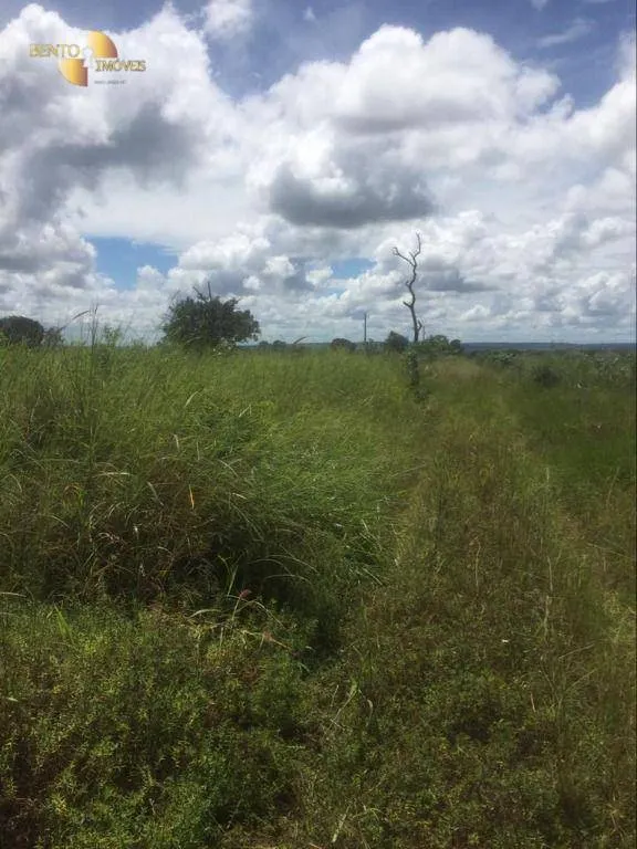 Fazenda à venda de 2.300 ha em Novo São Joaquim, MT, Brasil