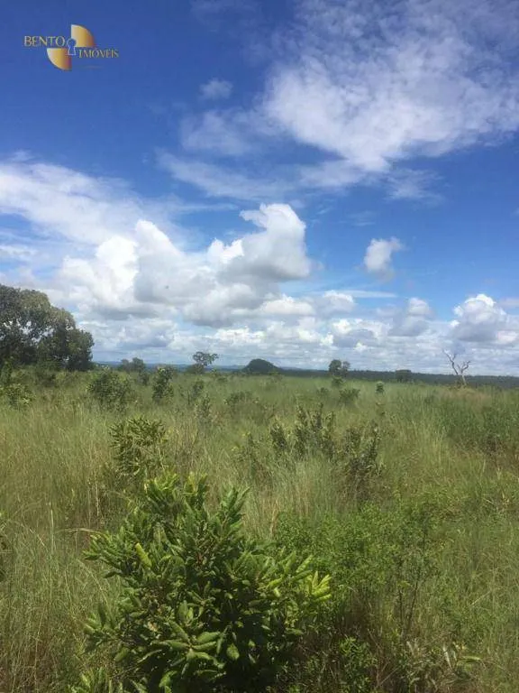 Fazenda à venda de 2.300 ha em Novo São Joaquim, MT, Brasil
