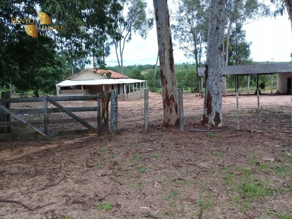 Fazenda à venda de 2.300 ha em Novo São Joaquim, MT, Brasil