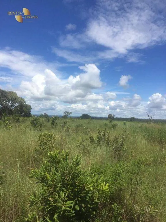 Fazenda à venda de 2.300 ha em Novo São Joaquim, MT, Brasil