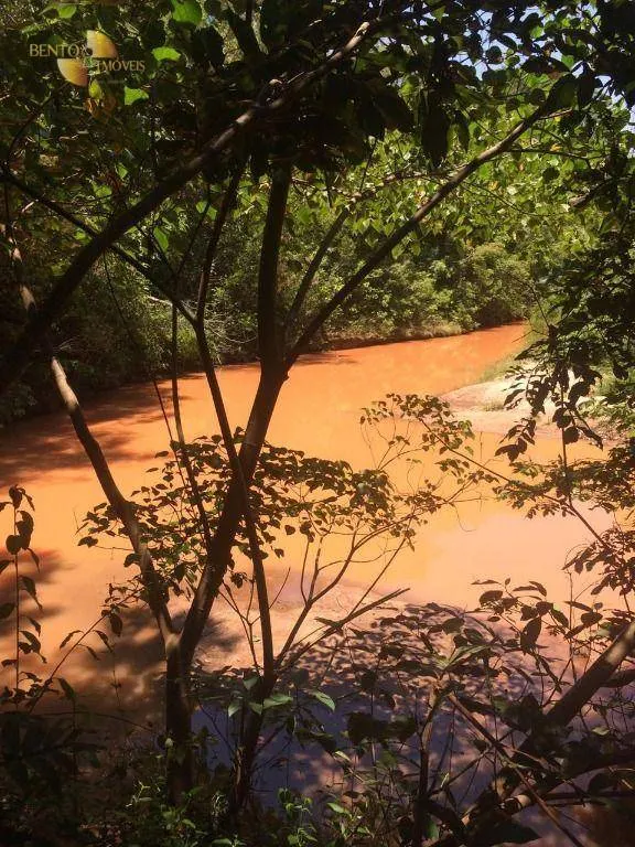 Fazenda à venda de 2.300 ha em Novo São Joaquim, MT, Brasil