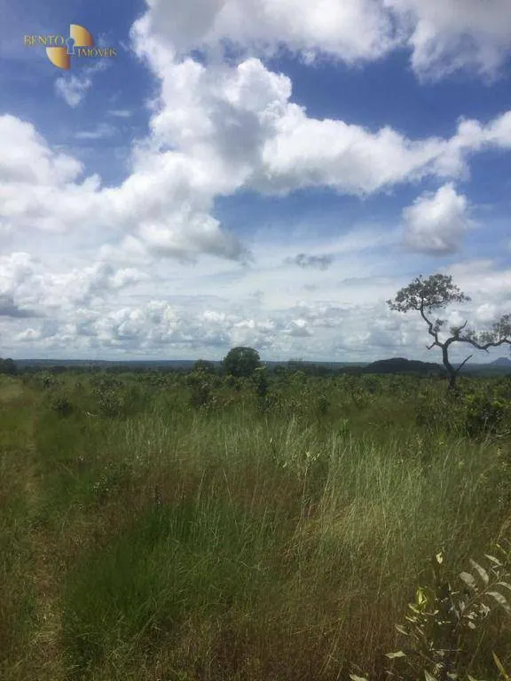 Fazenda à venda de 2.300 ha em Novo São Joaquim, MT, Brasil
