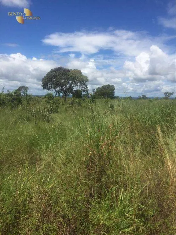 Fazenda à venda de 2.300 ha em Novo São Joaquim, MT, Brasil