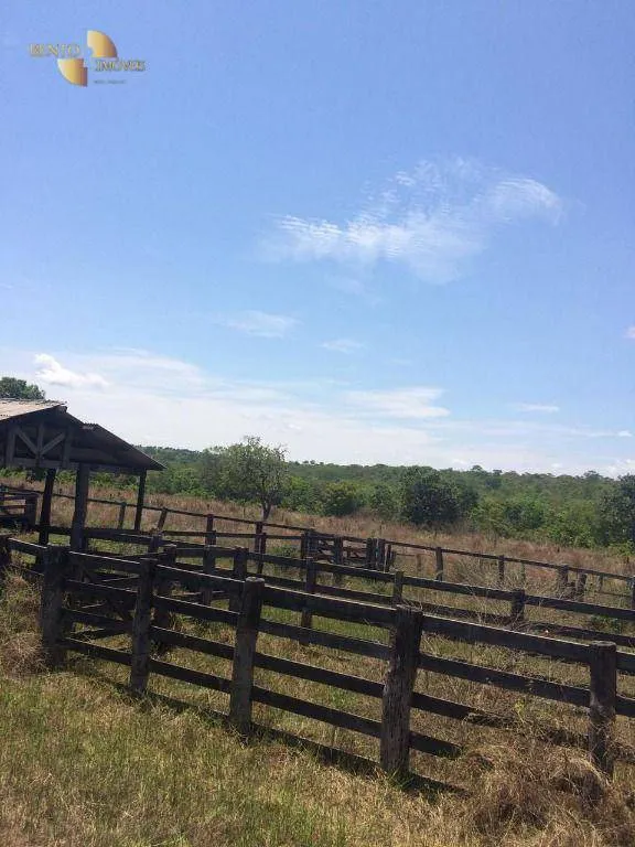 Fazenda à venda de 2.300 ha em Novo São Joaquim, MT, Brasil