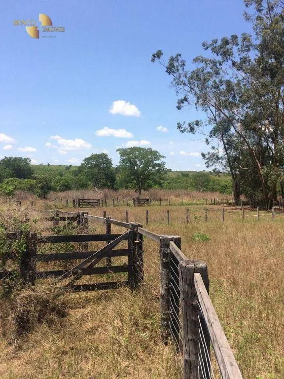 Fazenda à venda de 2.300 ha em Novo São Joaquim, MT, Brasil