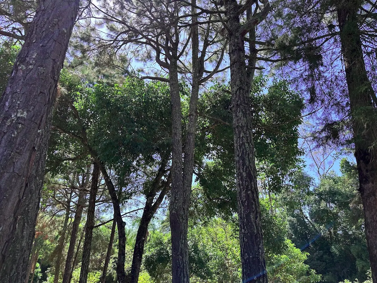 Country home for sale of 3 acres in São José dos Campos, SP, Brazil