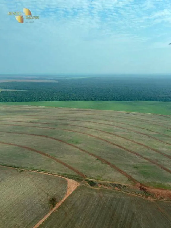 Fazenda à venda de 7.400 ha em São José do Rio Claro, MT, Brasil