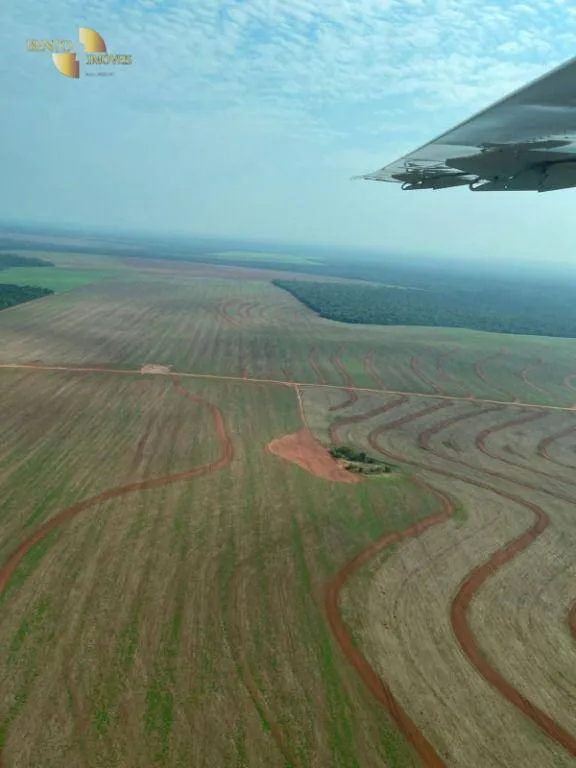 Fazenda à venda de 7.400 ha em São José do Rio Claro, MT, Brasil