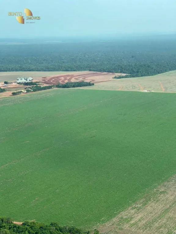 Fazenda à venda de 7.400 ha em São José do Rio Claro, MT, Brasil