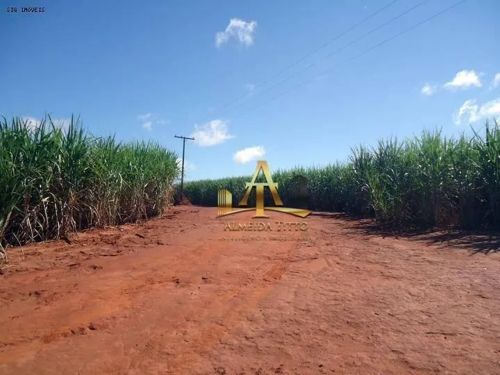 Fazenda à venda de 3.557 ha em Rancharia, SP, Brasil