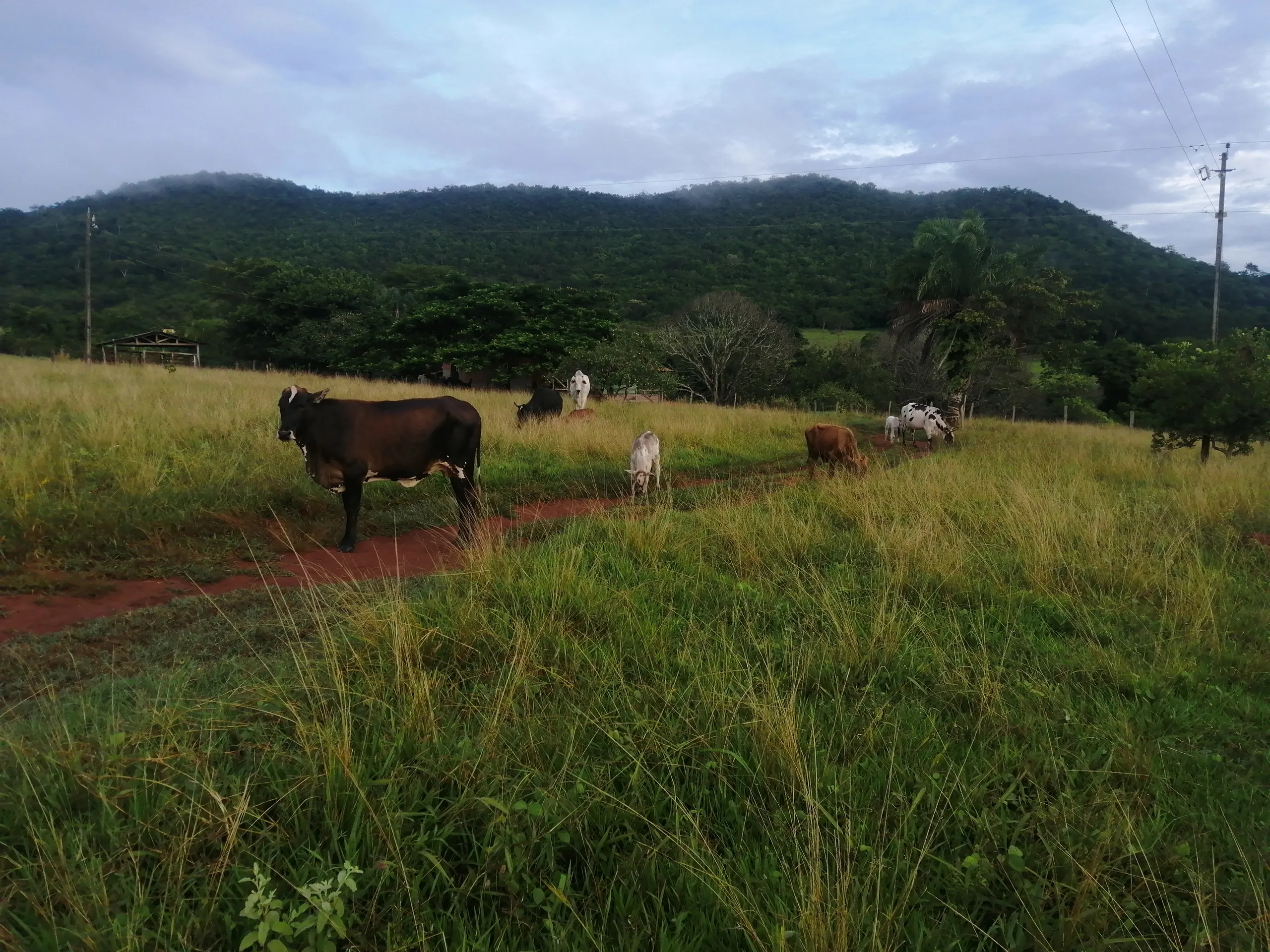 Country home for sale of 17 acres in Heitoraí, GO, Brazil