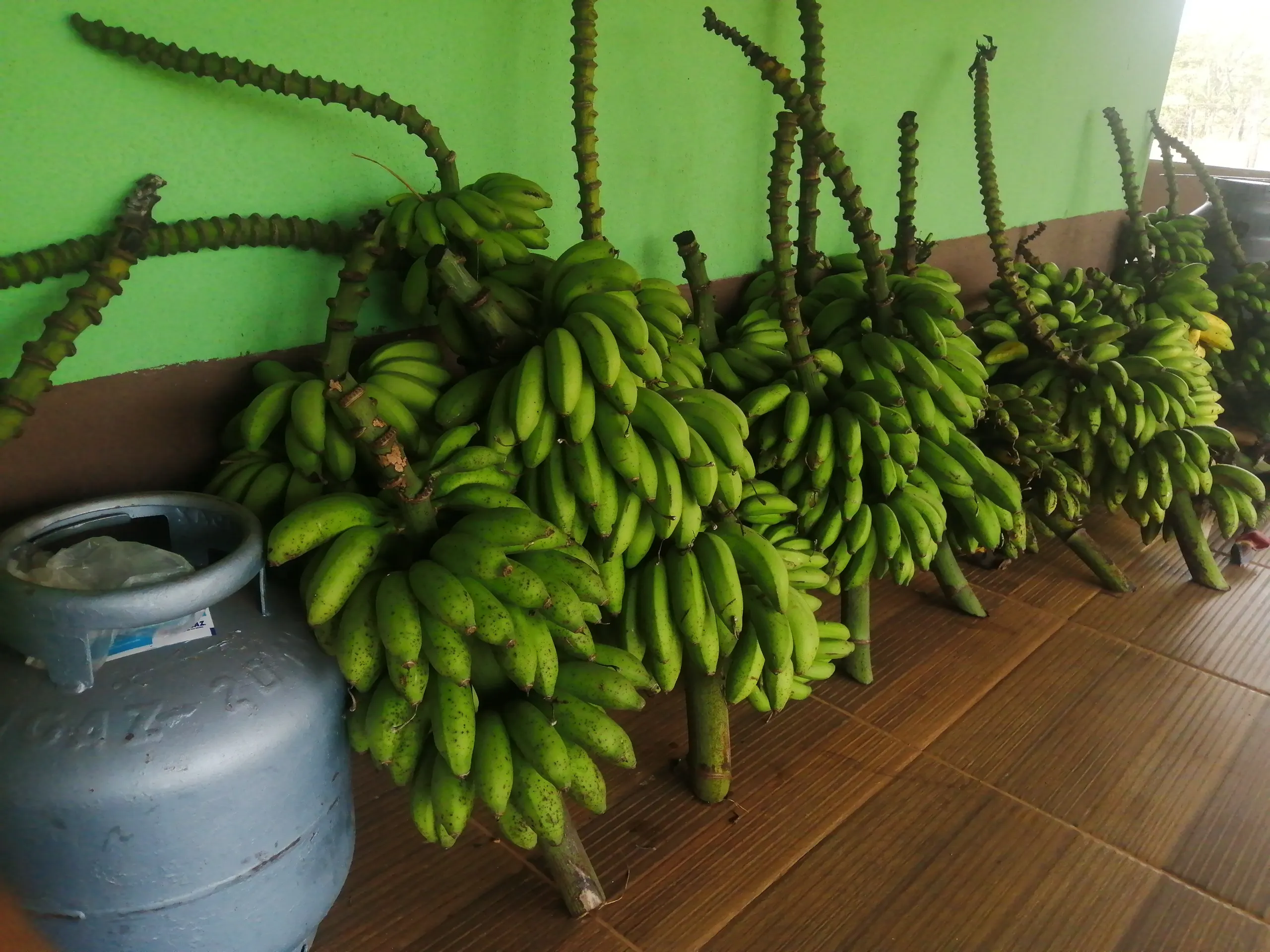 Country home for sale of 17 acres in Heitoraí, GO, Brazil