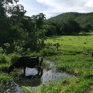 Country home for sale of 17 acres in Heitoraí, GO, Brazil