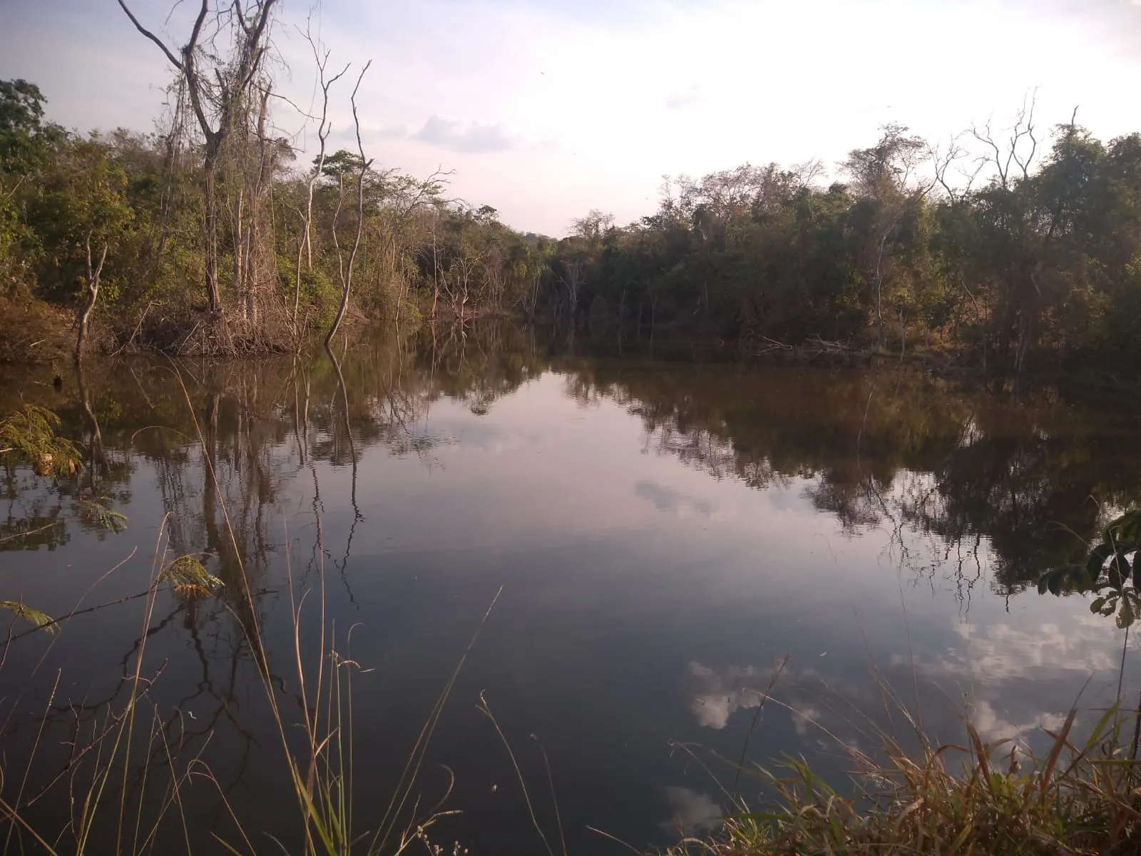 Country home for sale of 17 acres in Heitoraí, GO, Brazil