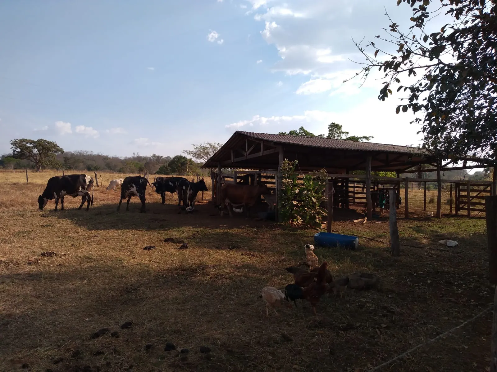 Country home for sale of 17 acres in Heitoraí, GO, Brazil