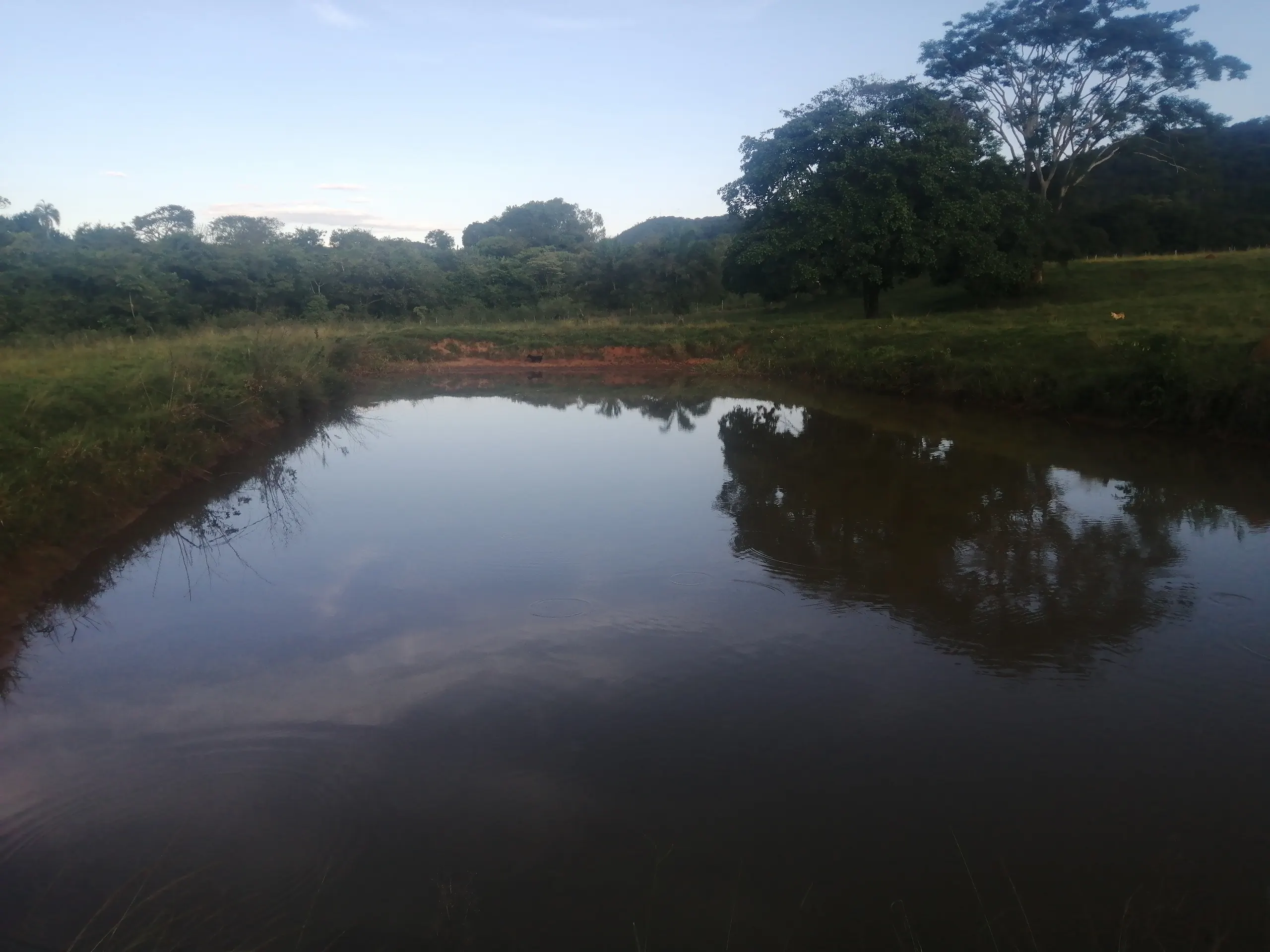 Country home for sale of 17 acres in Heitoraí, GO, Brazil