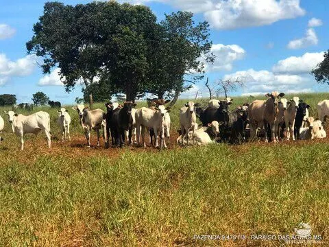Fazenda à venda de 9.475 ha em Água Clara, MS, Brasil