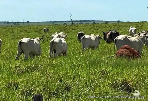 Fazenda à venda de 9.475 ha em Água Clara, MS, Brasil