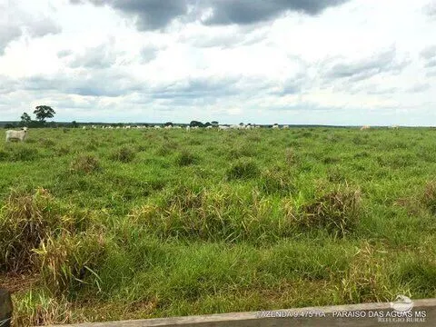 Fazenda à venda de 9.475 ha em Água Clara, MS, Brasil