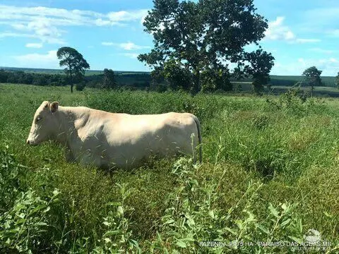 Fazenda à venda de 9.475 ha em Água Clara, MS, Brasil