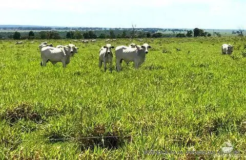 Fazenda à venda de 9.475 ha em Água Clara, MS, Brasil