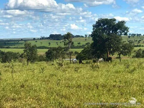 Fazenda à venda de 9.475 ha em Água Clara, MS, Brasil