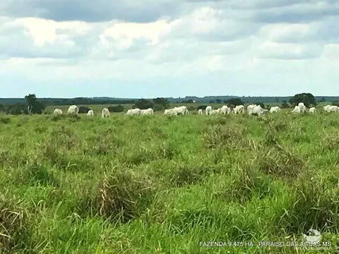 Fazenda à venda de 9.475 ha em Água Clara, MS, Brasil