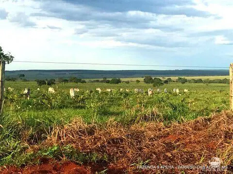 Fazenda à venda de 9.475 ha em Água Clara, MS, Brasil
