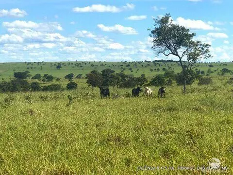 Fazenda à venda de 9.475 ha em Água Clara, MS, Brasil