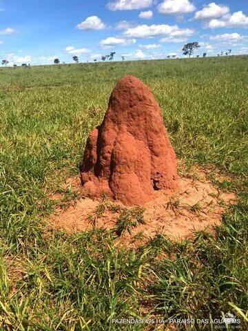 Fazenda à venda de 9.475 ha em Água Clara, MS, Brasil