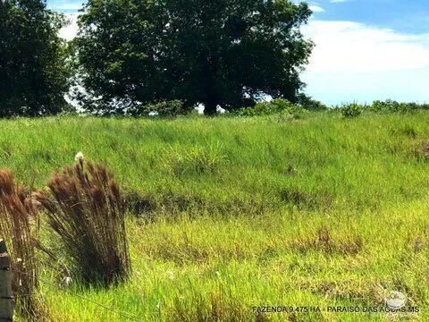 Fazenda à venda de 9.475 ha em Água Clara, MS, Brasil
