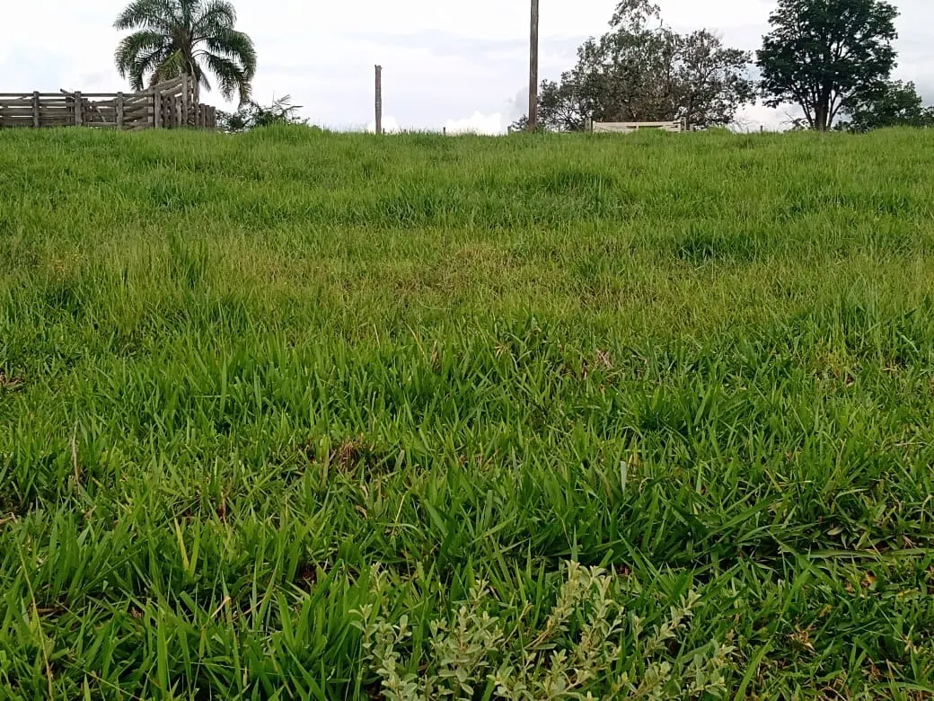 Fazenda à venda de 14 ha em Itapetininga, SP, Brasil