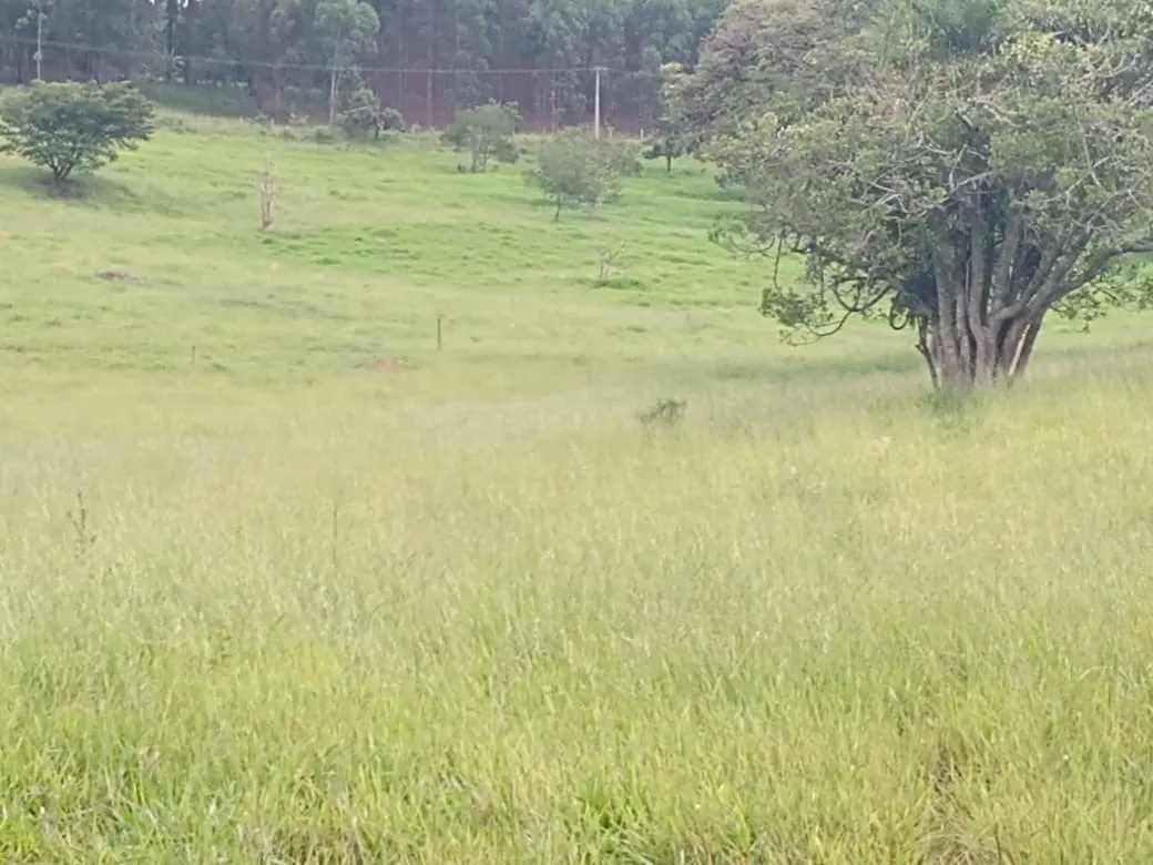 Fazenda à venda de 14 ha em Itapetininga, SP, Brasil