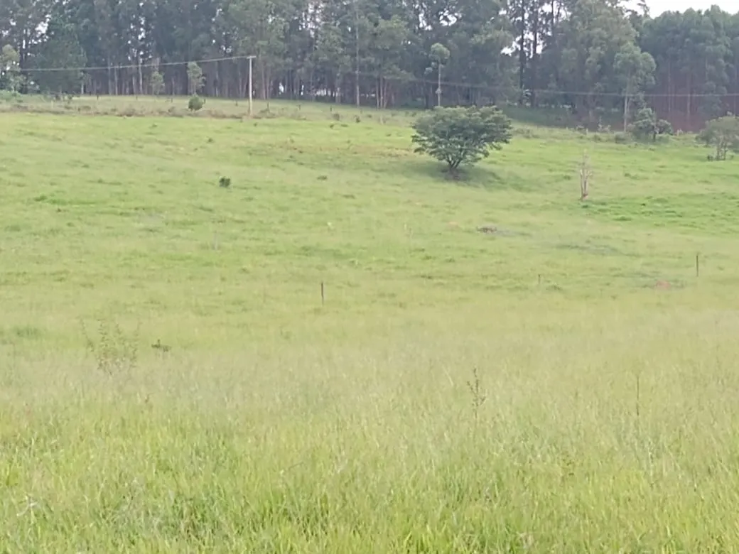 Fazenda à venda de 14 ha em Itapetininga, SP, Brasil