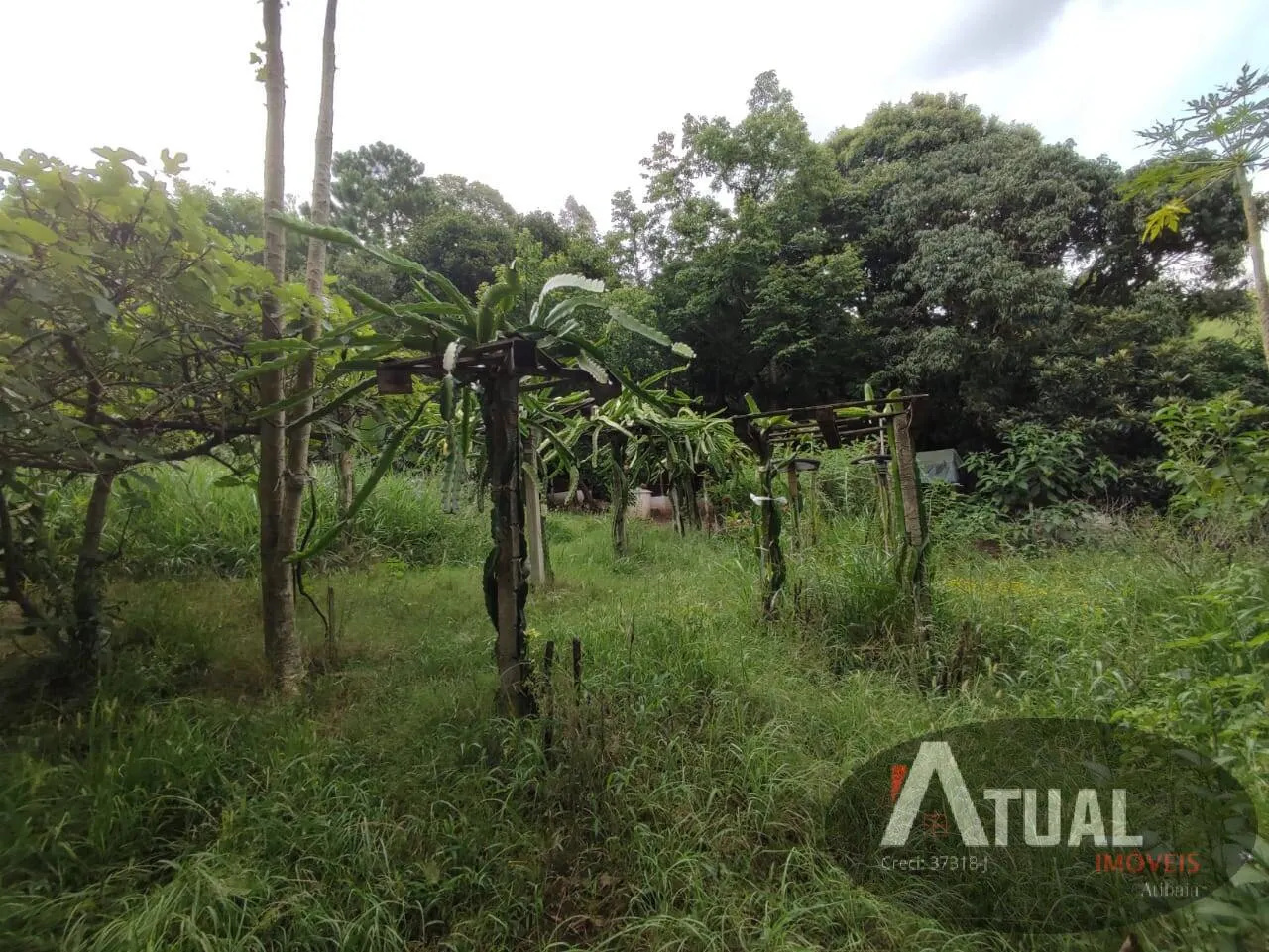 Terreno à venda de 2.335 m² em Atibaia, SP, Brasil