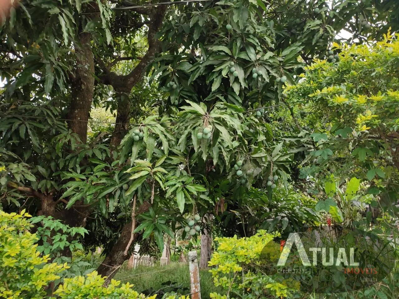Terreno à venda de 2.335 m² em Atibaia, SP, Brasil