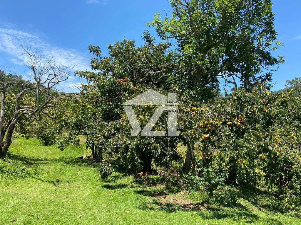 Sítio à venda de 4 ha em Mogi das Cruzes, SP, Brasil