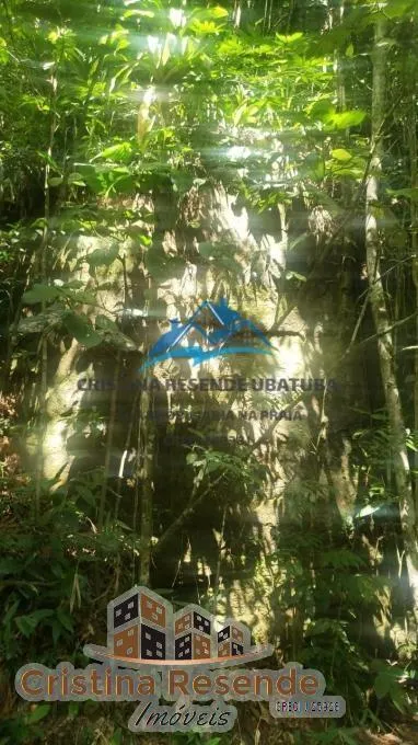 Fazenda à venda de 382 ha em Ubatuba, SP, Brasil