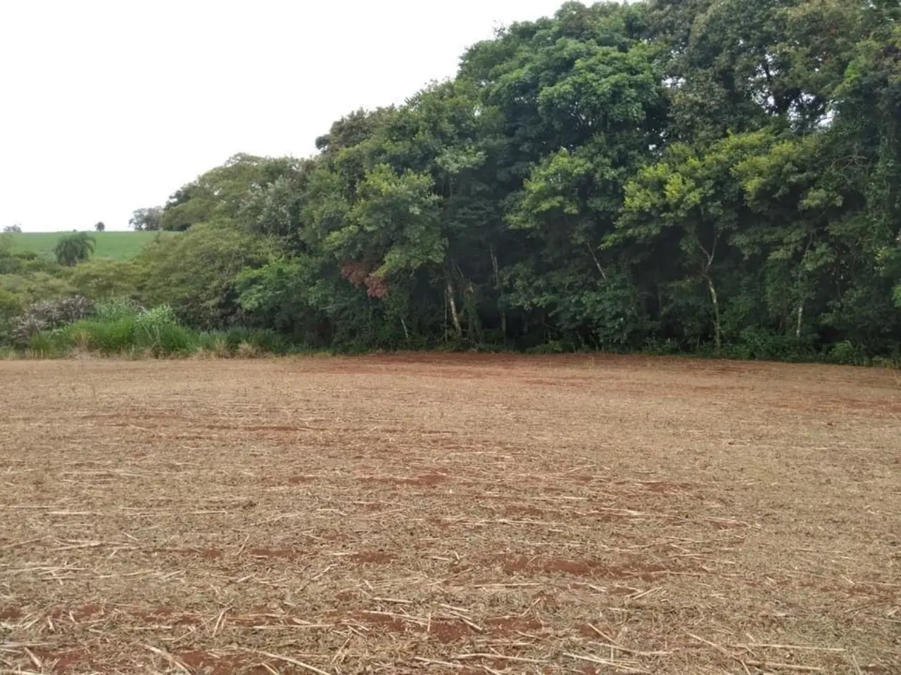 Fazenda à venda de 10 ha em Tatuí, SP, Brasil